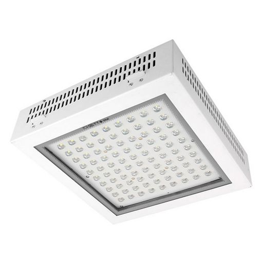 <OLD>PROFESSIONAL LED CANOPY LIGHT 150W