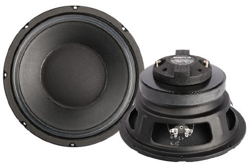 SB AUDIENCE COAXIAL 10