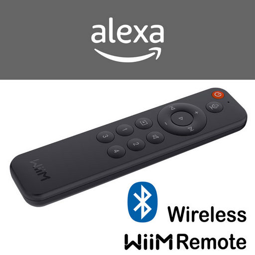 WiiIIM VOICE REMOTE