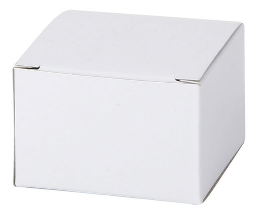 USB MAINS CHARGER - PROLINK BULK