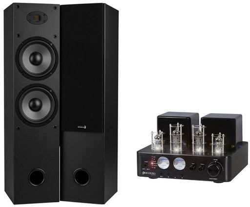 90W TUBE AMP & 2 WAY AMT TOWER SPEAKER